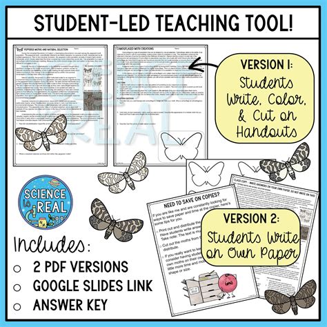 eChalk: Peppered moth natural selection simulation.